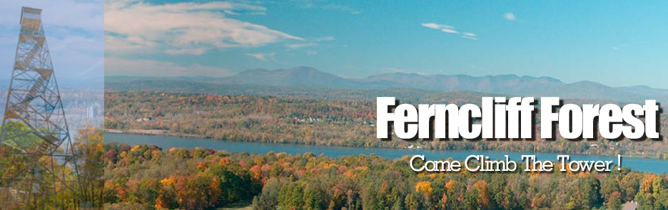 ferncliff2banner